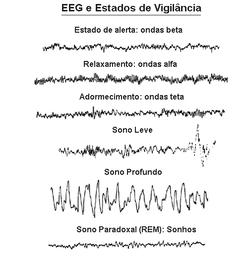 ondas_cerebrais