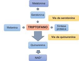treptofano1